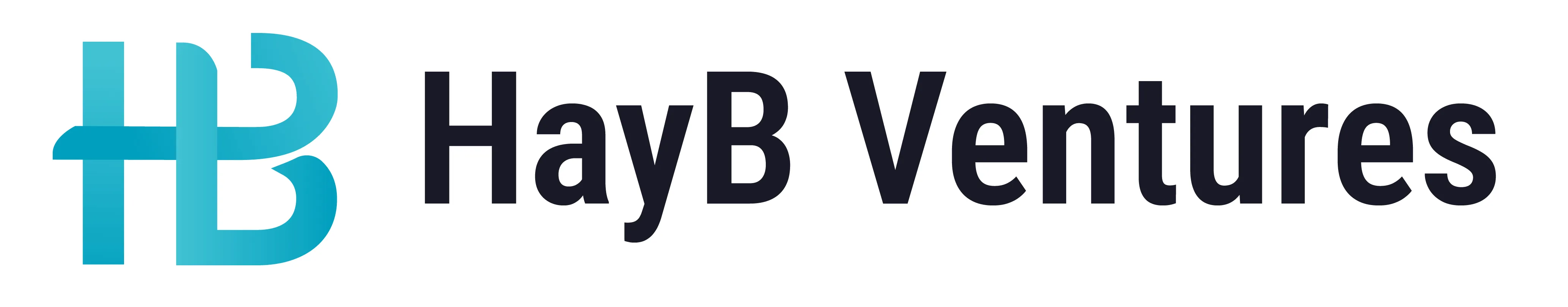 HayB Ventures logo